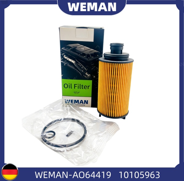 WEMAN Lọc dầu AO64419