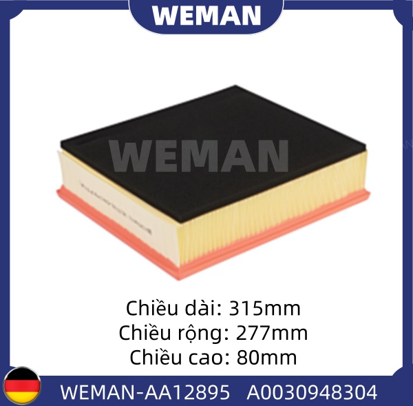 WEMAN Lọc gió AA12895