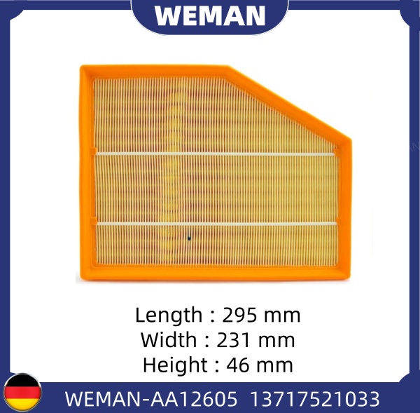 WEMAN Lọc gió AA12605